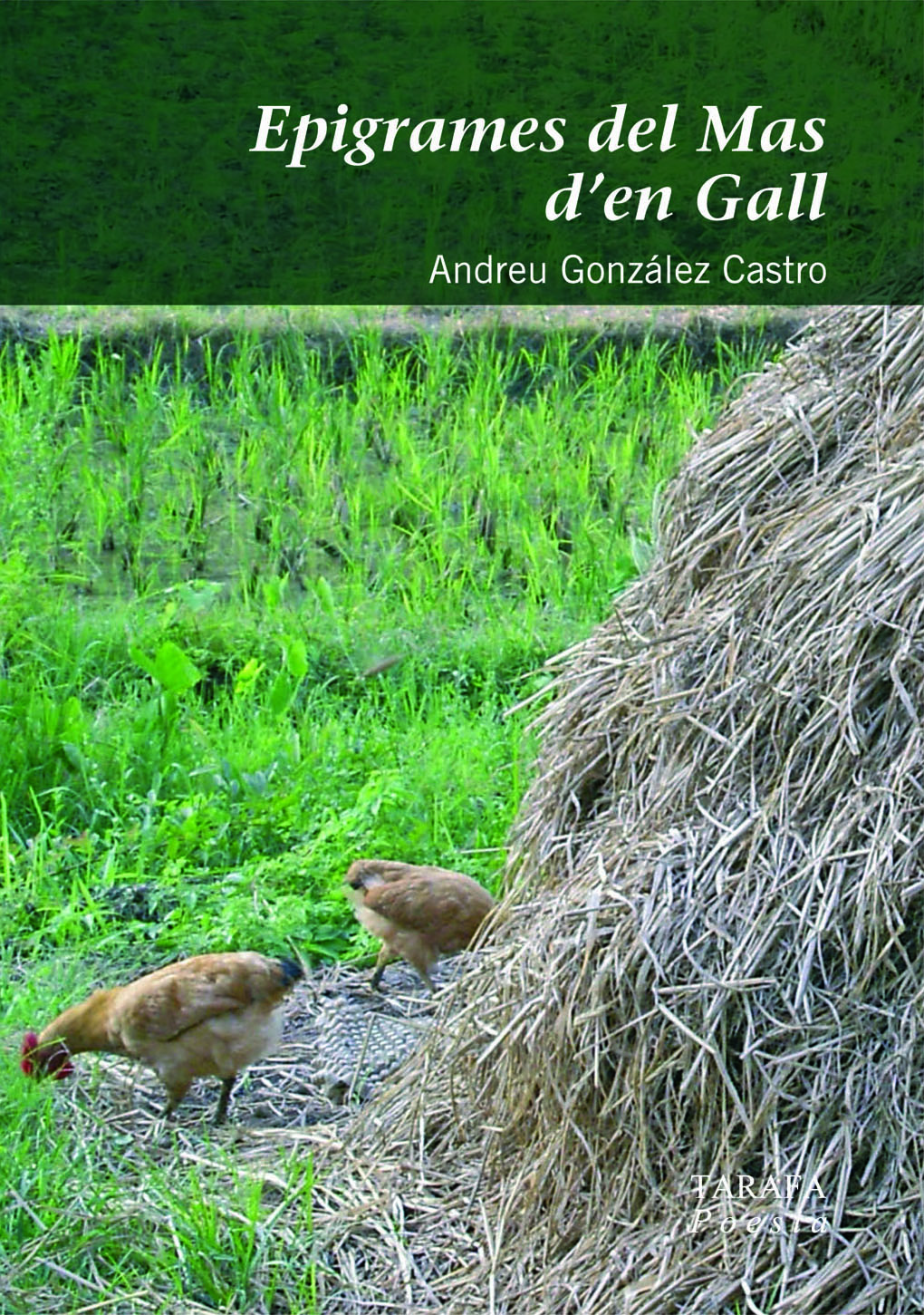 Epigrames del Mas d'en Gall